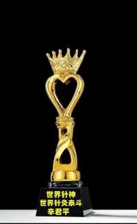 世界超级针灸泰斗 ——辛君平教授