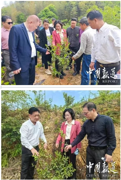 央视新闻特别报道：延平区政协携手企业，以科技赋能助力乡村全面振兴