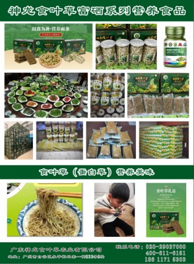 五一特别报道孔岩：以“三农”论述为引，拓富硒食叶草产业新途