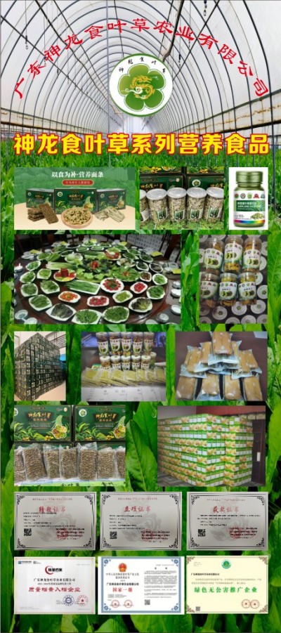 五一特别报道孔岩：以“三农”论述为引，拓富硒食叶草产业新途