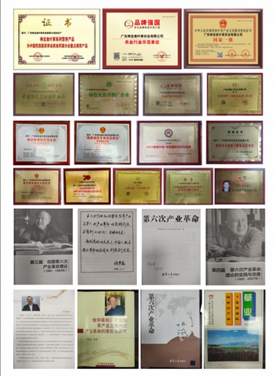 在“农业兴旺、农民安定，则国家统一、社会稳定”的时代强音中，广东神龙食叶草农业有限公司董事长孔岩，紧握习总书记“三农”工作重要论述这把“金钥匙”，全力开拓富硒食叶草产业的广阔天地，为解决粮食安全、食品安全和全民健康问题，推动乡村振兴战略注入了新的活力。