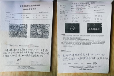 杨宗仙：  中医传承创新领路人，  为民治病写下传奇故事