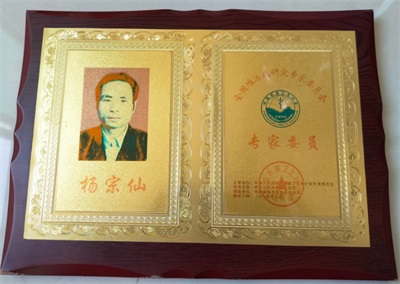 杨宗仙：  中医传承创新领路人，  为民治病写下传奇故事