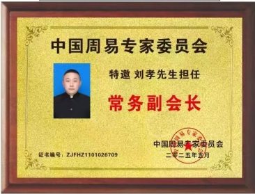 刘孝：从易学实践到学术引领，新晋周易专家委员会常务副会长的文化担当