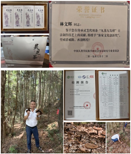 央视赋能大健康产业：林文辉荣膺在线直播网特聘客座教授