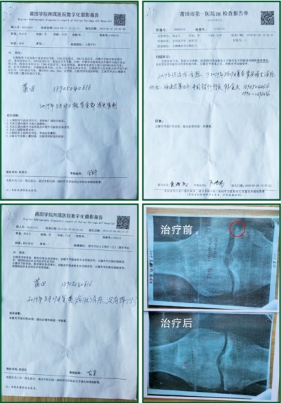 杨宗仙：中医传承创新领路人，为民治病写下传奇故事