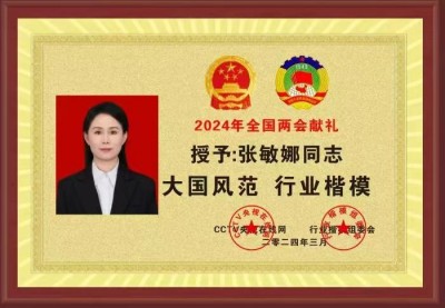 张敏娜：以传统文化之姿，向党的诞辰献礼