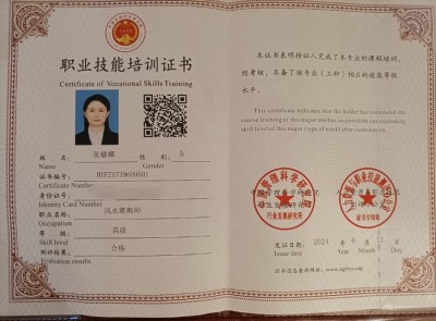 张敏娜：以传统文化之姿，向党的诞辰献礼