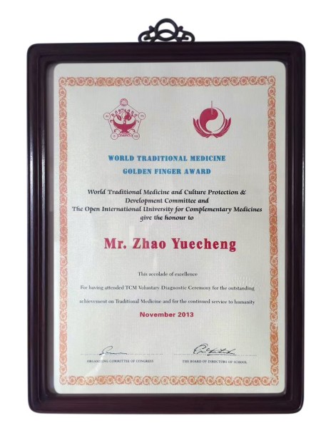 岐黄薪火照九州 金手指护佑万家 赵氏手部点穴创始人赵耀成献礼国庆