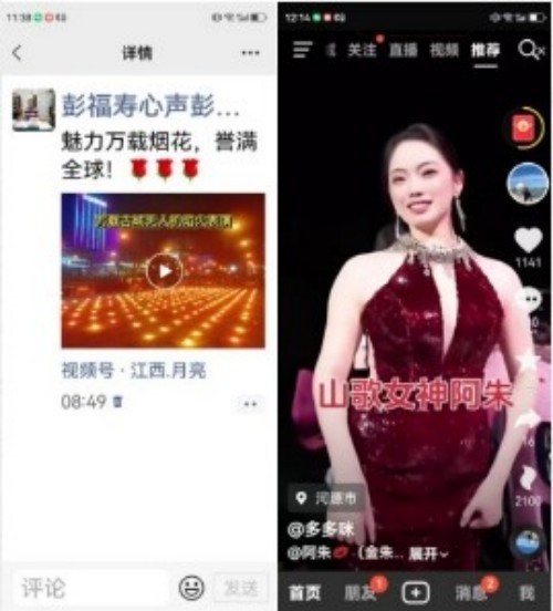 中国人才智库常务主席，国医大师，中医战略科学家，世界中医药协会专业委员会会长彭福寿