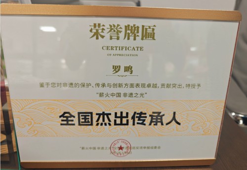 聚焦两会特别报道：罗鸣---以中医创新实践助力健康中国战略落地