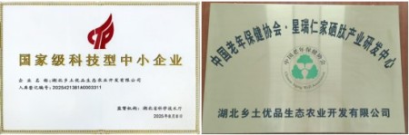 喜迎两会特别报道 生态养殖赋能乡村振兴：湖北乡土优品的“土鸡”突围之路