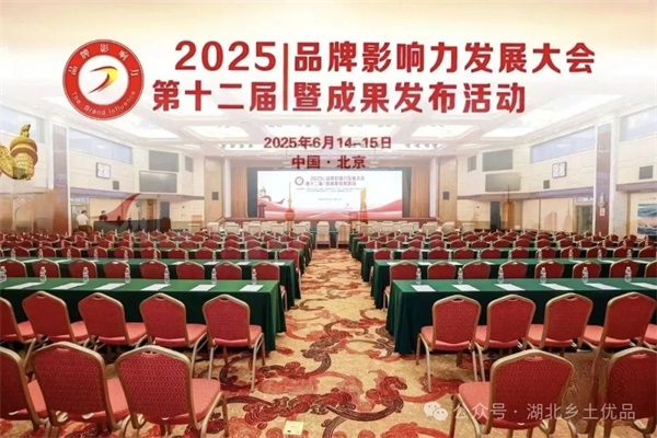 2025品牌影响力发展大会暨成果发布活动在北京举办&nbsp;乡土优品公司荣膺多项成果奖项
